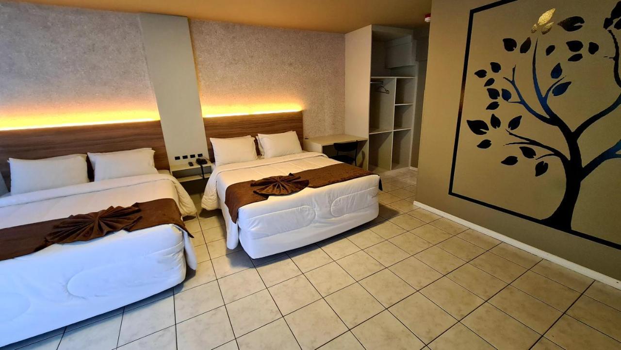 Hotel Genova Bc Balneário Camboriú 外观 照片